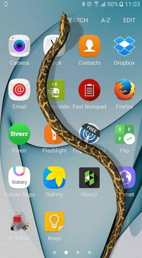 Download Aplikasi Hewan Berjalan di Layar HP Android APK Terbaru